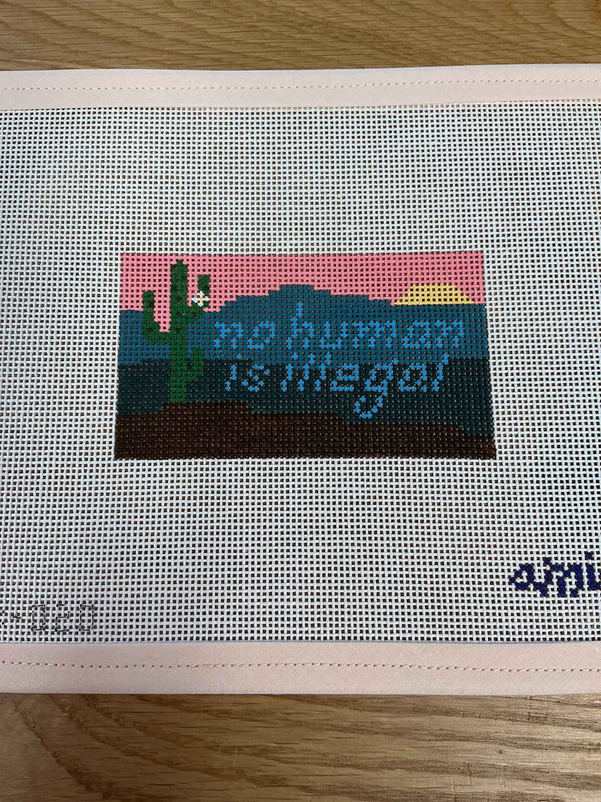 No Human is Illegal