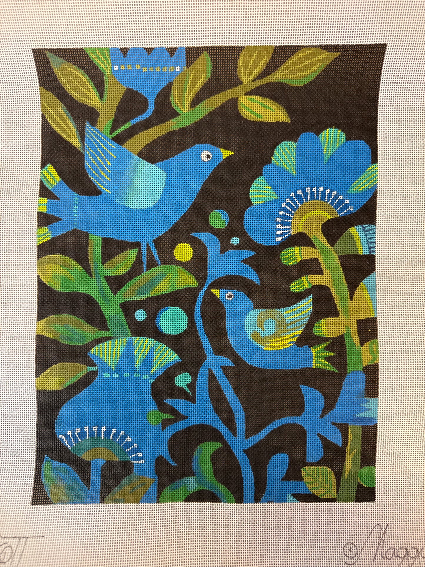 Birds of Paradise