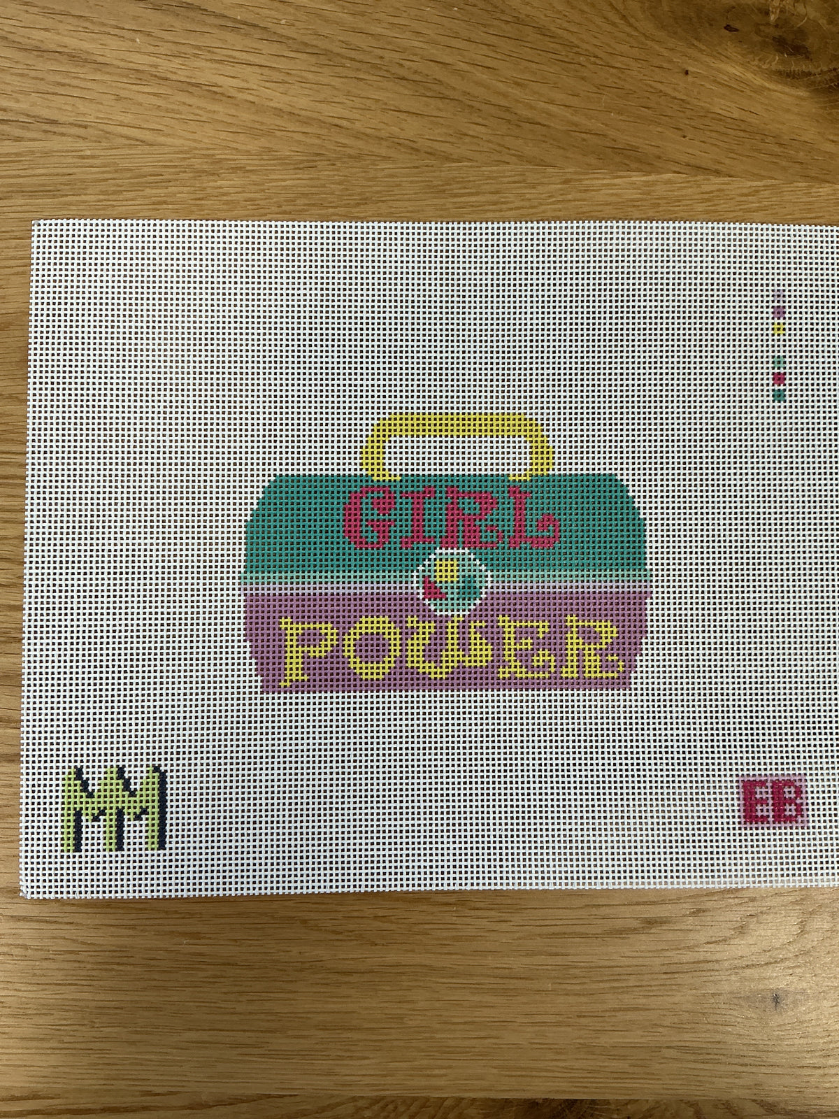 Girl Power Caboodle Needlepoint Case
