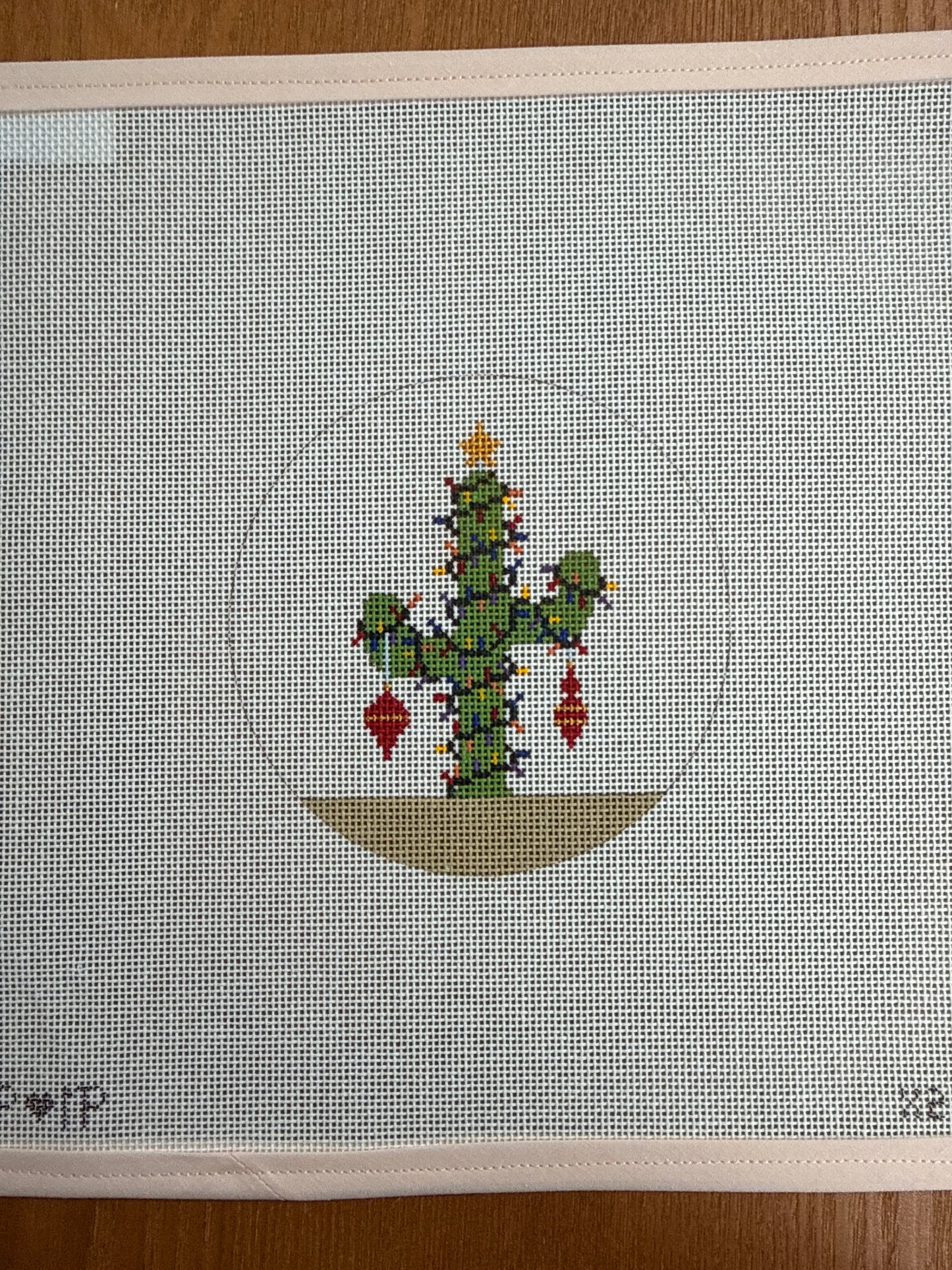 Cactus with Lights