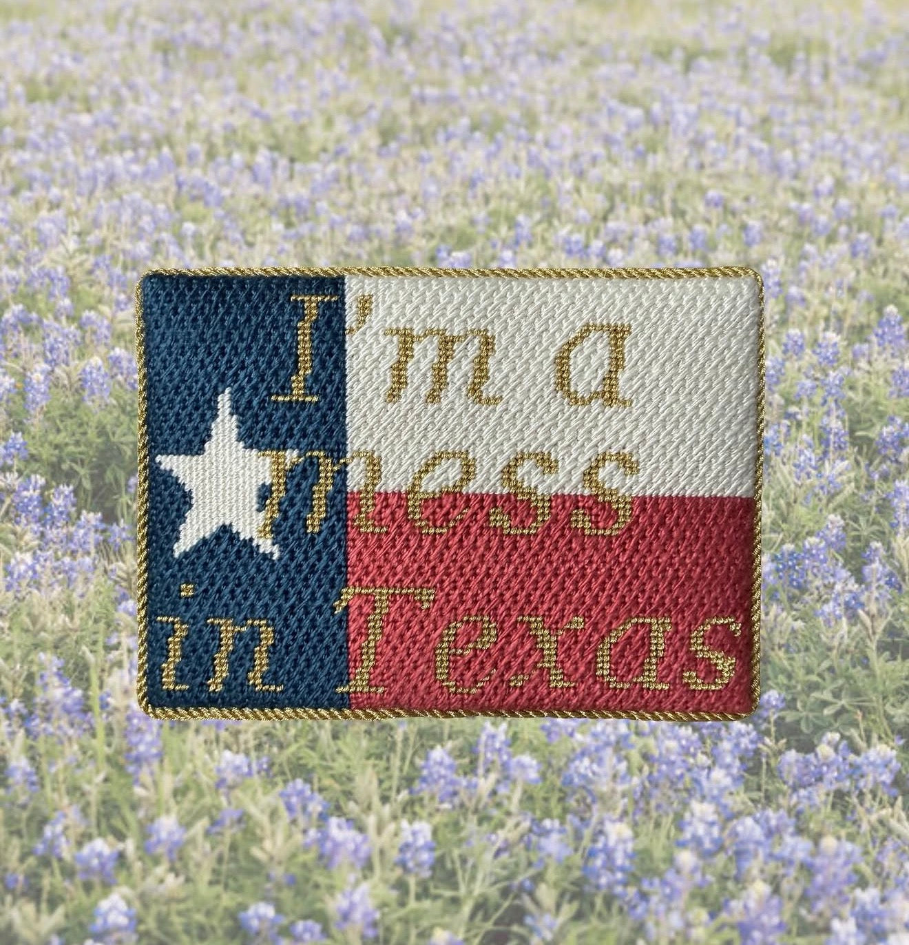 I’m A Mess In Texas