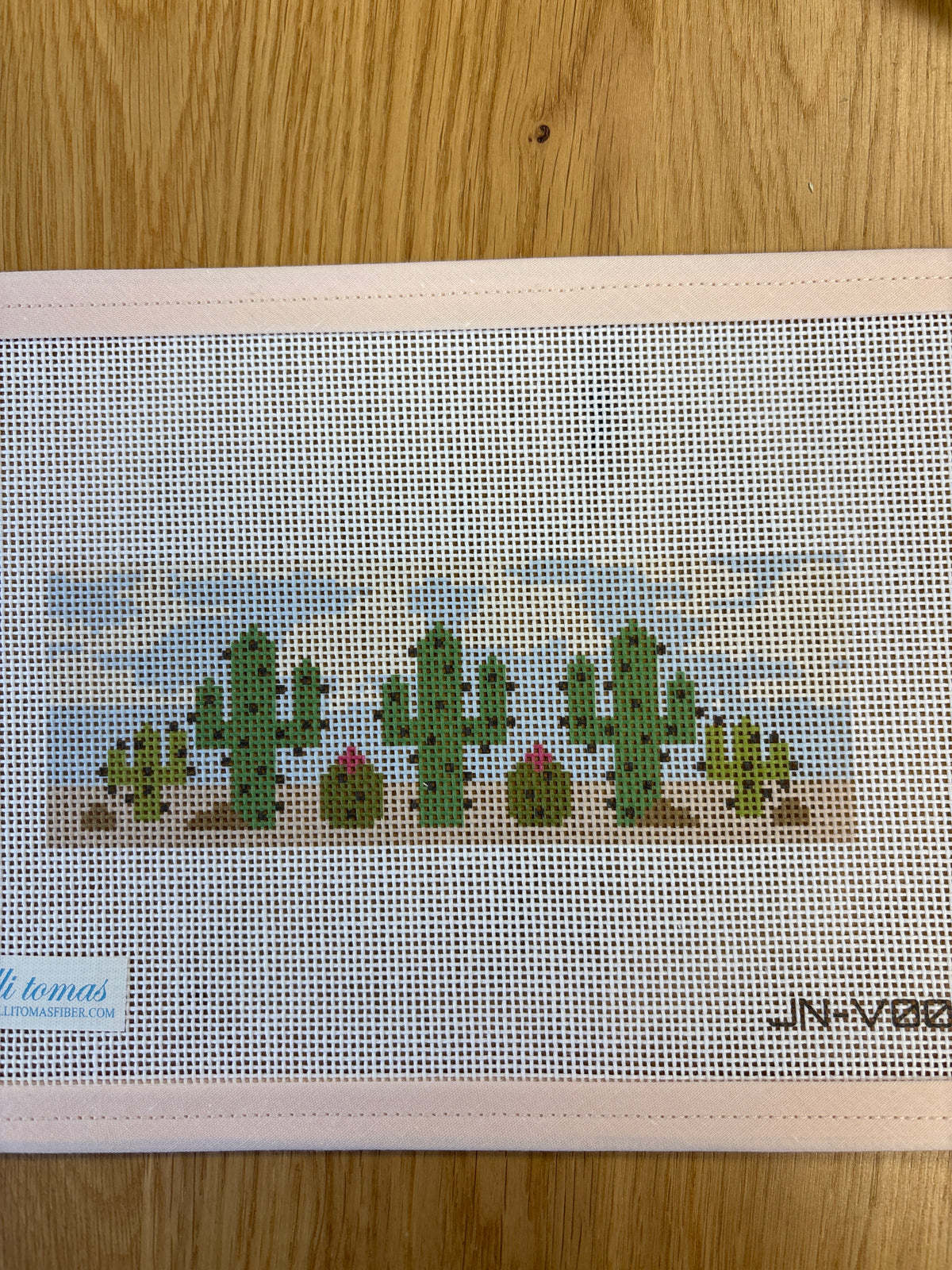 Vanity Cactus
