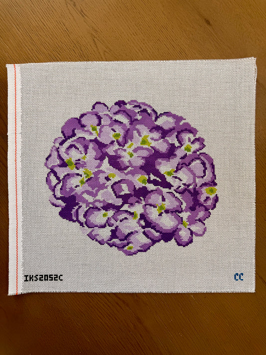 Purple Hydrangea