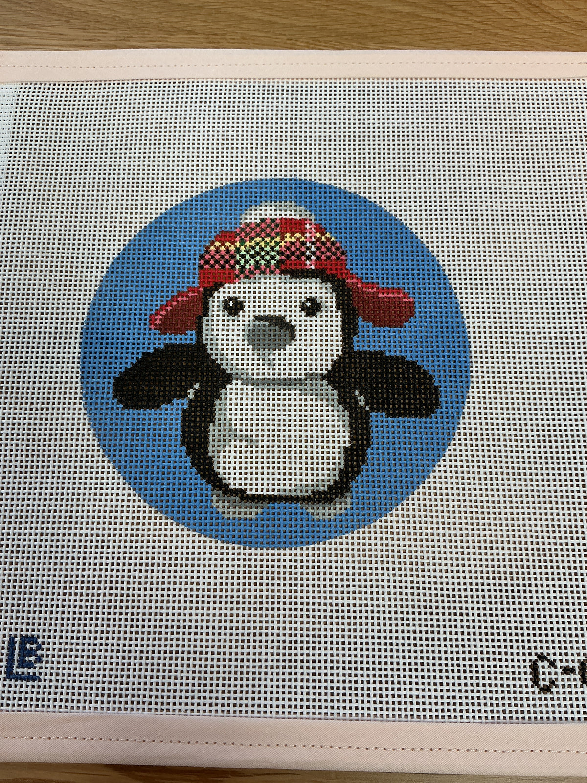 Playful Penguin
