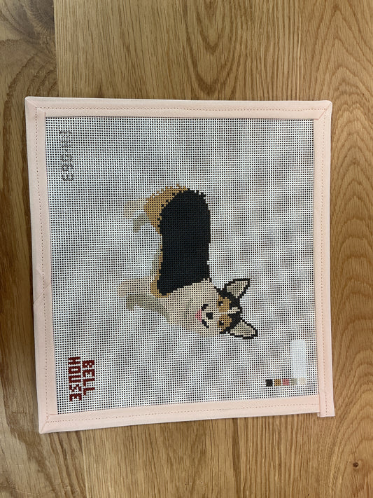 Corgi - Tricolor