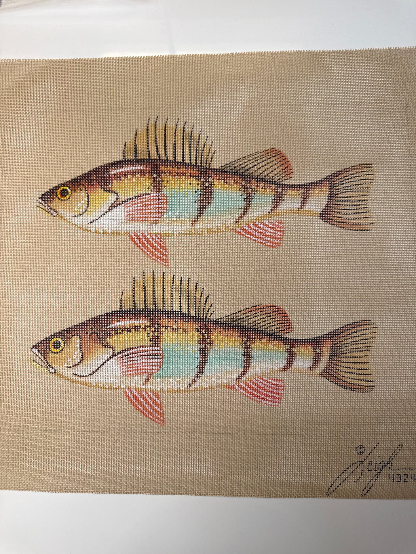 Fish Pillow