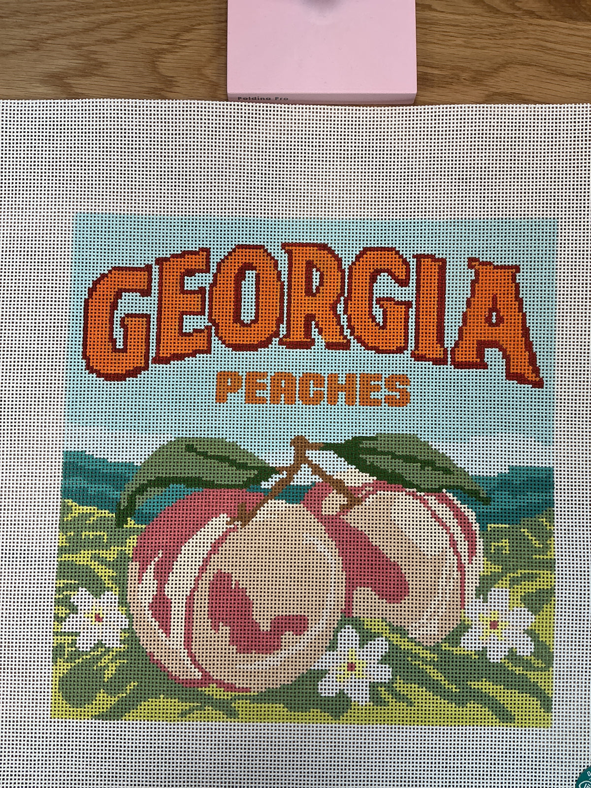 Georgia Peaches Pillow