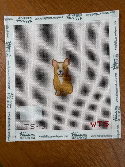 Mini Corgi