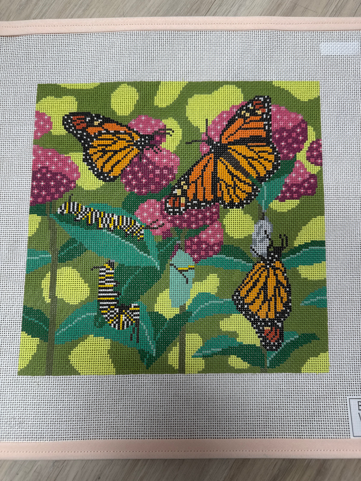 Monarch Life Cycle