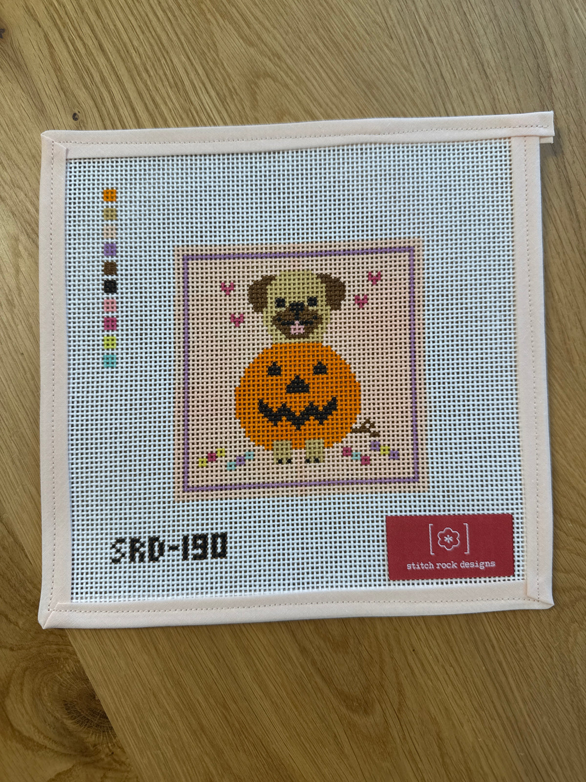 Pug in a Pumpkin