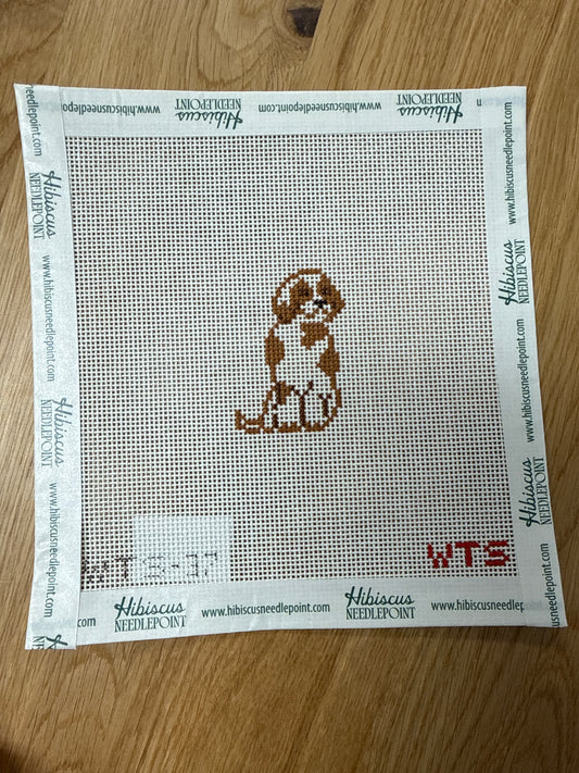 Mini Cavalier