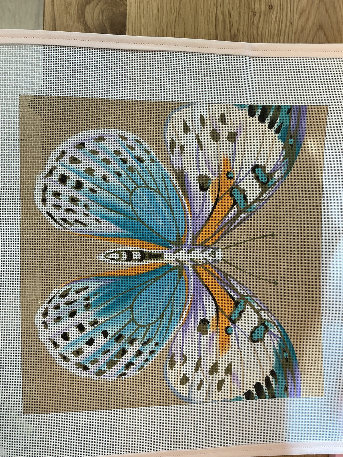 Butterfly IV Beauty