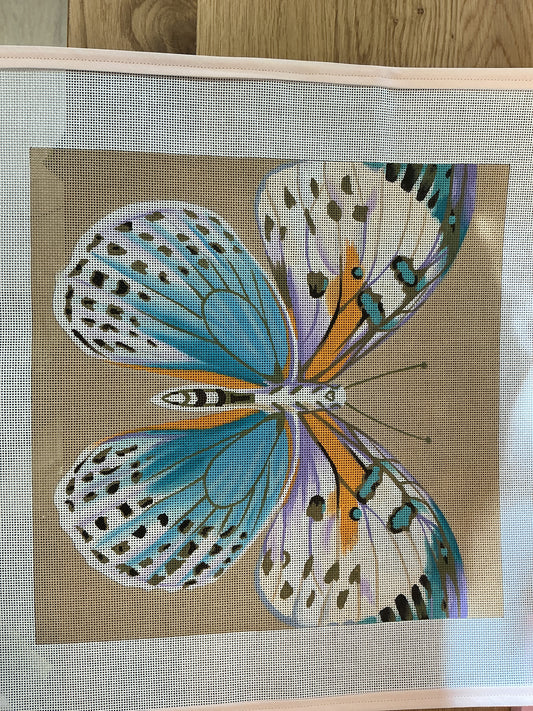 Butterfly IV Beauty