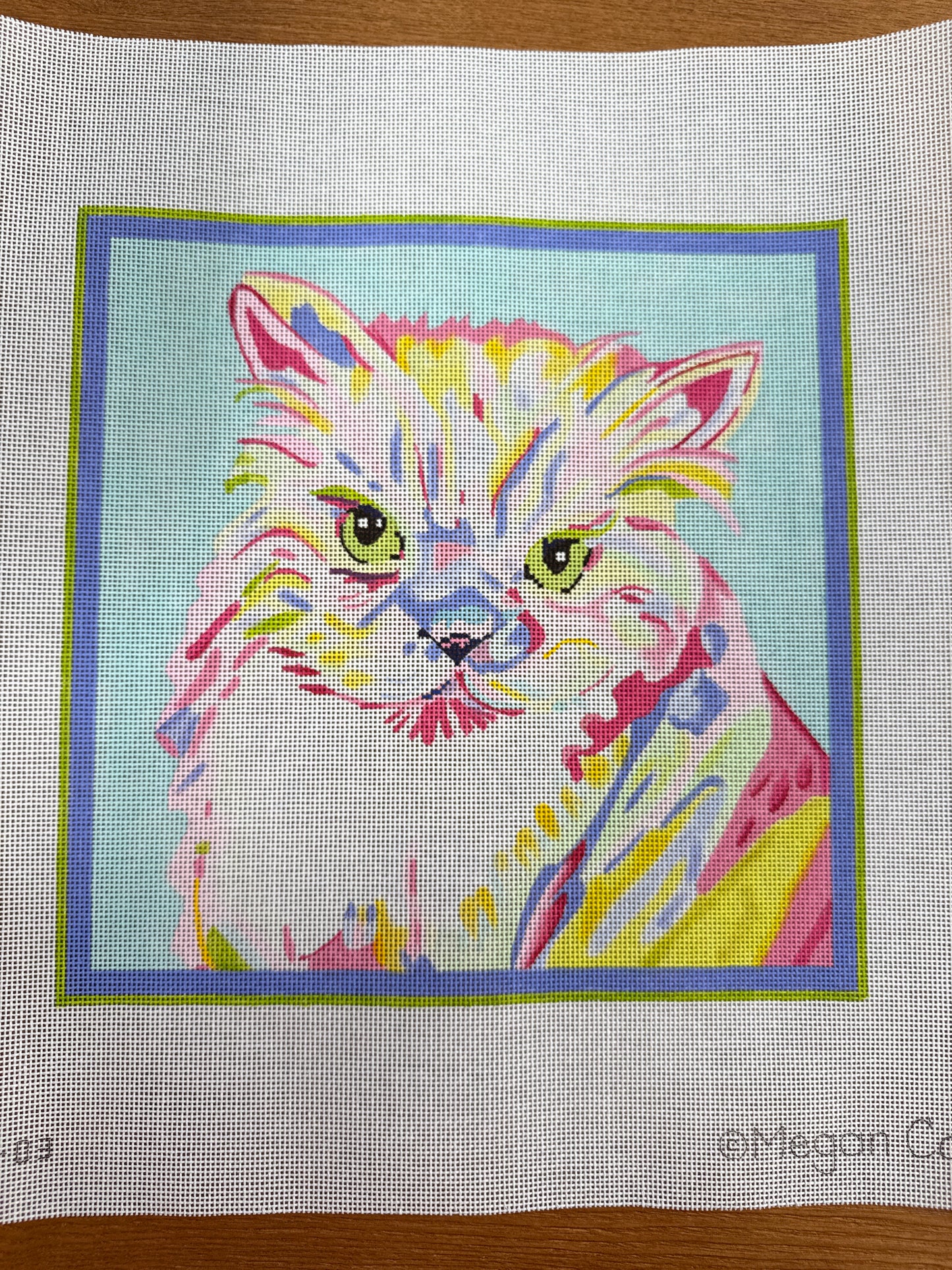 Megan Carn Persian Cat