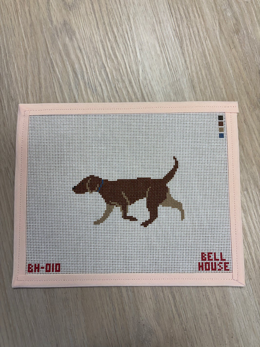 Chocolate Lab