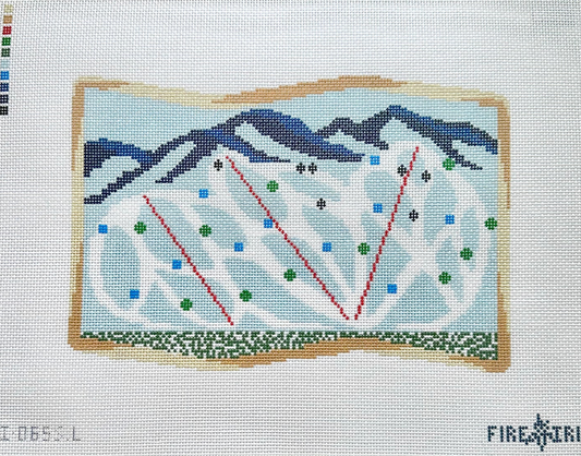 Large Ski Map