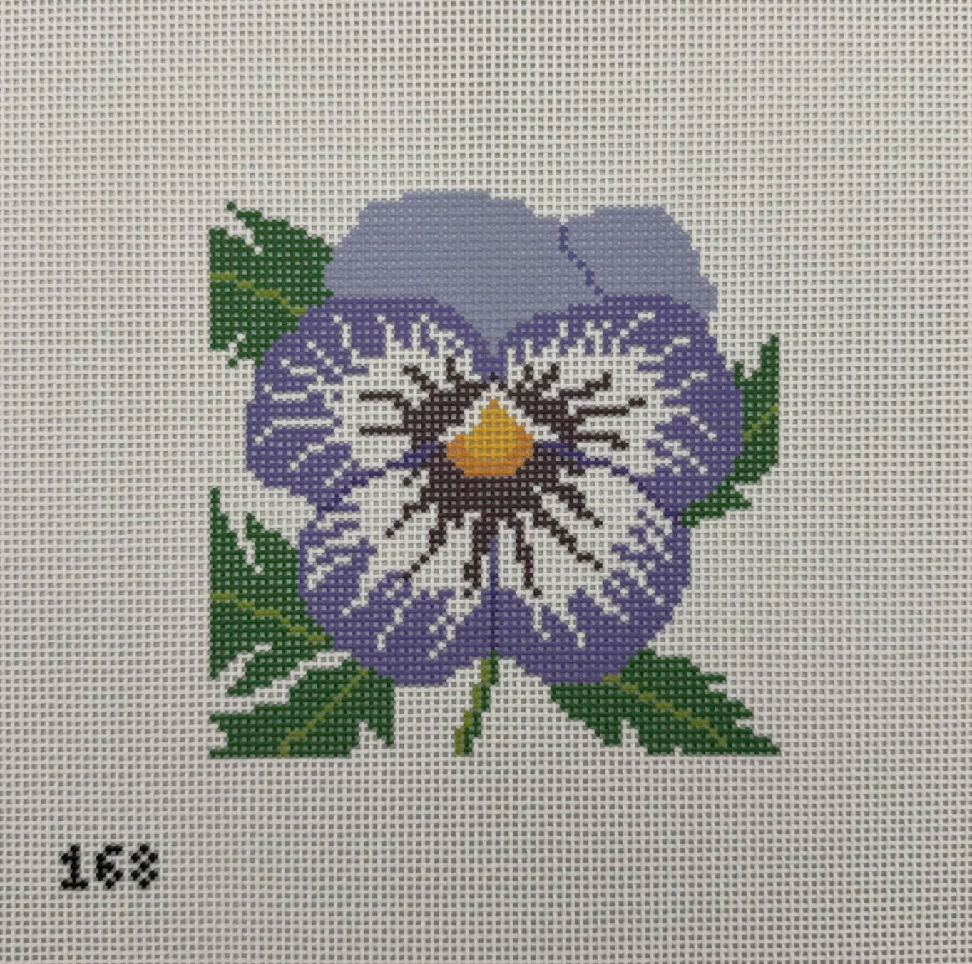 Pansy