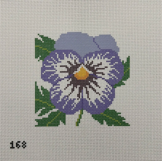 Pansy