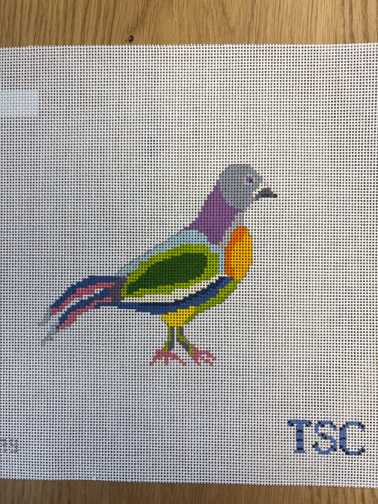 Fancy Pigeon