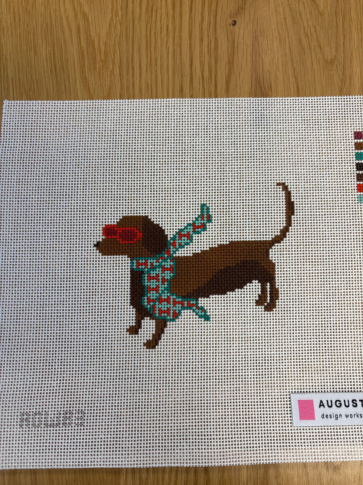 Bougie Dachshund