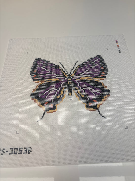 3053B - Large Butterfly Colorado - Trunk Show