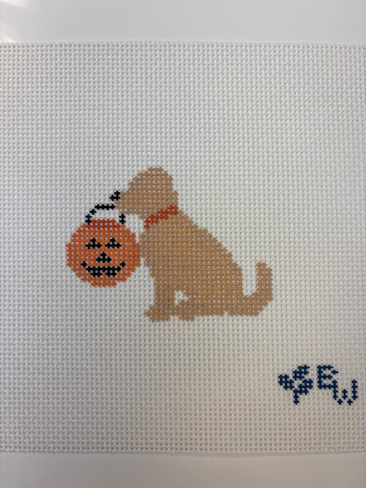 Golden Halloween- Boxwood Trunk Show