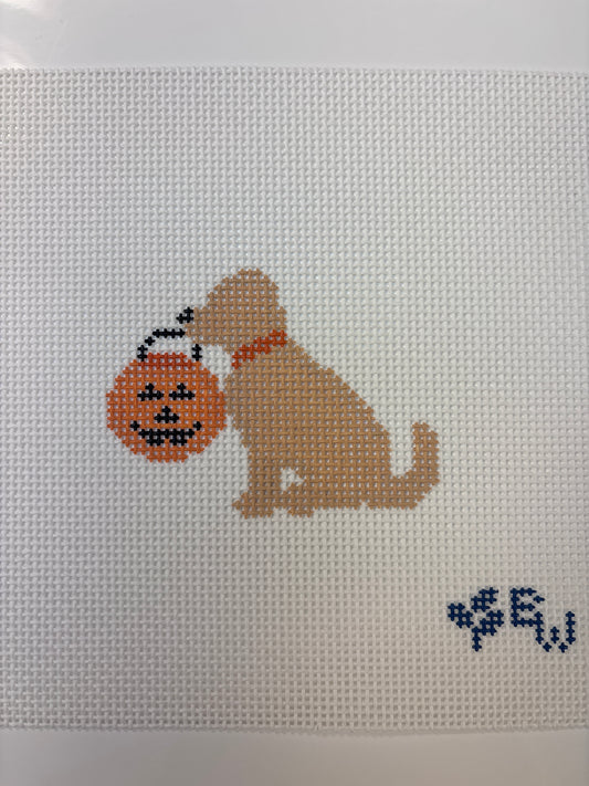 Golden Halloween- Boxwood Trunk Show