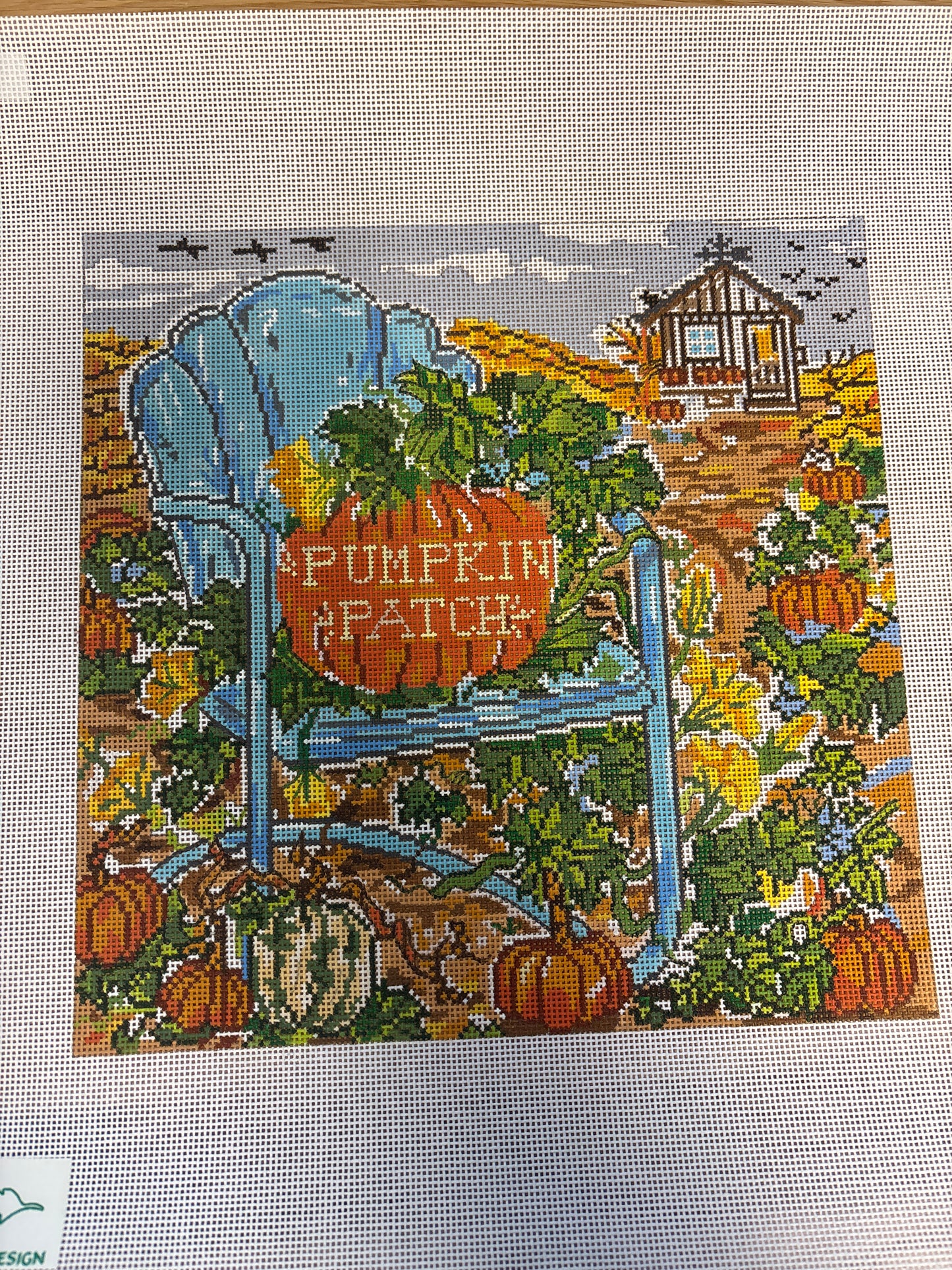 Pumpkin Patch